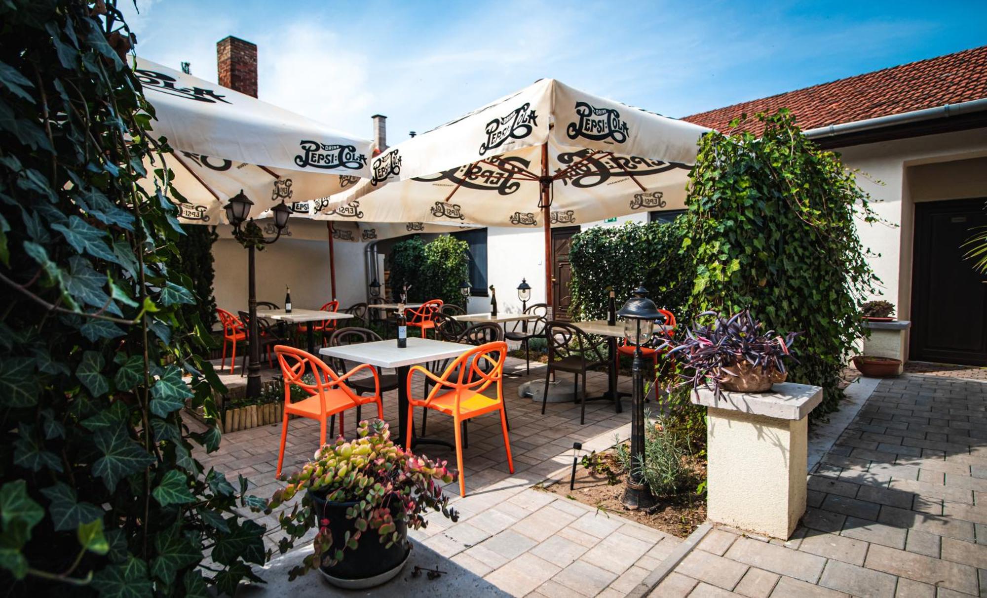 Fakapu Pince Es Panzio Bed and Breakfast Tokaj Eksteriør billede